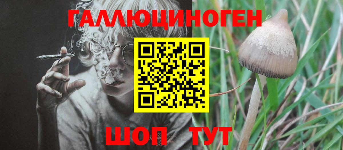 Псилоцибиновые грибы GOLDEN TEACHER Рязань